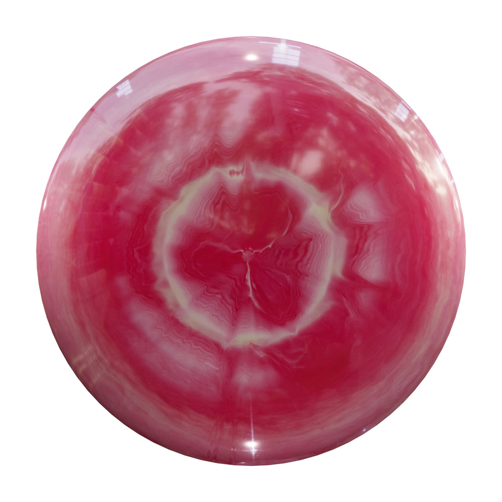 Piwakawaka - Image 7