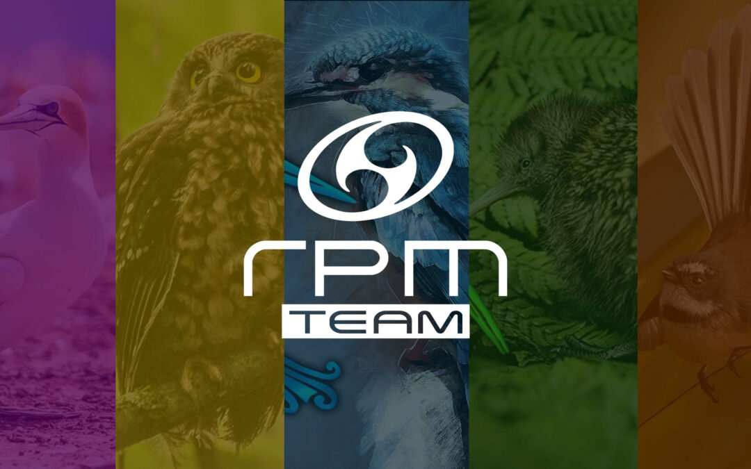 Ryan Ristow ryan p ristow | RPM Discs