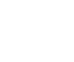 RPM North America